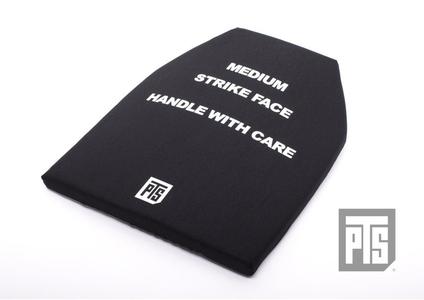 PTS SAPI Dummy Plates (Front & Back) SM Visit New For Sale
