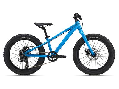 STP 20 Girls BIke Cheap Sale Enjoy