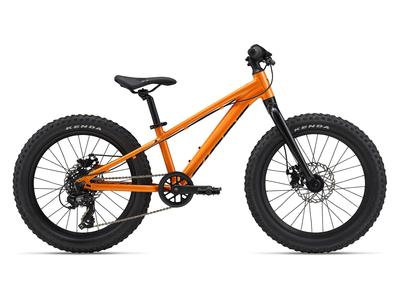 STP 20 Kids Bike Free Shipping Recommend