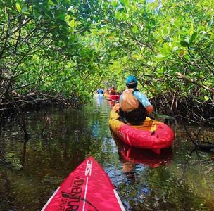 SINGLE KAYAK EXCURSION Quality Original