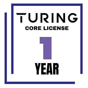 Turing Video Vision VSaaS Core License Year/Camera Sale Cheap Pices