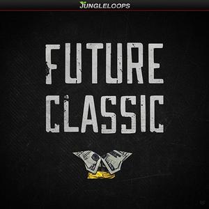 Future Classic Sale Geniue Stockist