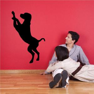Sleepy Coonhound Decal Low Pice Fee Shipping Cheap Online