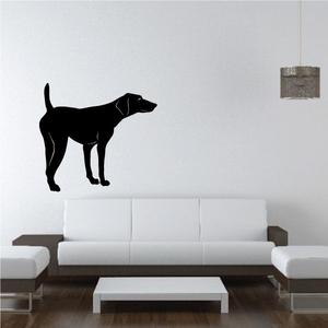 Looking Gun Dog Decal Sale Cheap Online