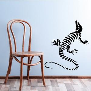 Looking Komodo Dragon Skeleton Decal Buy Cheap Many Kinds Of