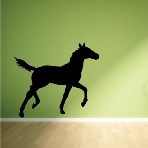 Foal Prancing Decal Outlet Finishline