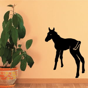 Foal Wagging Tail Decal Free Shipping Cheap Online