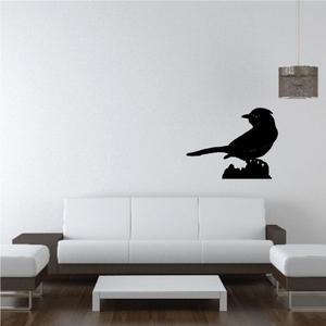 Blue Jay Decal Buy Cheap Choice