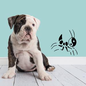 Yin Yang Head Cricket Decal Discount Eastbay