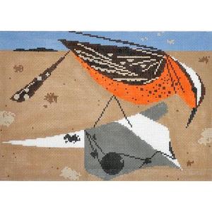 Cactus Wren Best Place Online