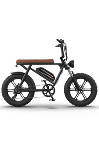 Aostirmotor Storm 750W 48V FAat Tire Electric Bike Clearance Big Sale
