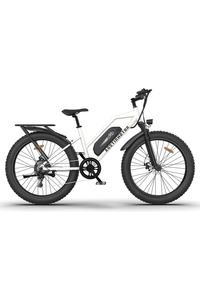 Aostirmotor S07-G 48V/13Ah 750W Electric Commuter Bike Clearance Fake