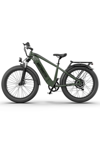 Aostirmotor KING 1000W 52V All-Terrain Fat Tire Electric Bike Bike Outlet Official Site