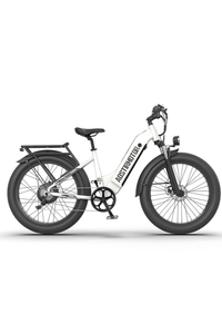 Aostirmotor QUEEN 1000W 52V Step-Through All-Terrain Fat Tire Electric Bike Sale Real