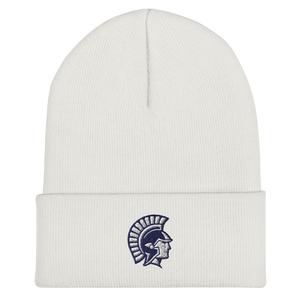 VVS Cuffed Beanie How Much For Sale