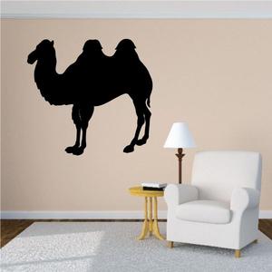 Humpback Camel Decal Outlet
