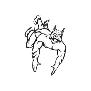 School Mascot Wall Decal - Vinyl Decal - Car Decal - DC 009 Get Authentic For Sale