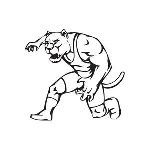 School Mascot Wall Decal - Vinyl Decal - Car Decal - DC 023 Buy Cheap Countdown Package