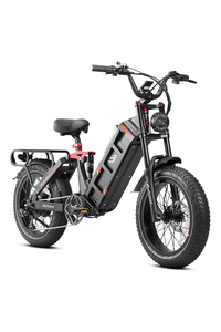 Eahora XC300 | 750W 48V 16Ah Mountain Electric Bike Footlocker Online