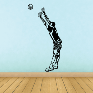 Volleyball Wall Decal - Vinyl Decal - Car Decal - CDS057 Cheap Sale Pictures