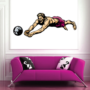 Volleyball Wall Decal - Vinyl Sticker - Car Sticker - Die Cut Sticker - CDSCOLOR121 Buy Cheap Fake