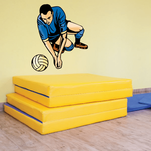 Volleyball Wall Decal - Vinyl Sticker - Car Sticker - Die Cut Sticker - CDSCOLOR102 Many Kinds Of Cheap Pice