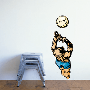 Volleyball Wall Decal - Vinyl Sticker - Car Sticker - Die Cut Sticker - CDSCOLOR112 How Much Sale Online