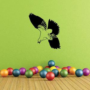 Diving Hawk Decal Ebay Cheap Pice