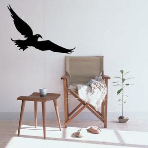 City Hunter Hawk Decal Cheap Sale Finishline