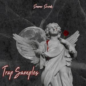 TRAP SAMPLES Free Shipping For Cheap