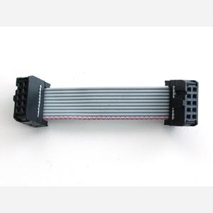 10-pin Socket/Socket IDC cable - Short 1.5 Shop Offer For Sale