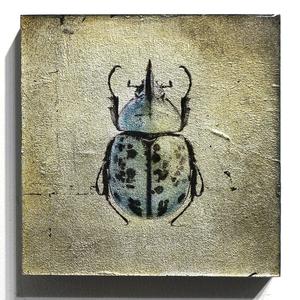 "Insecta Beetle XVI" Buy Cheap Many Kinds Of
