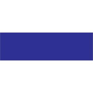 3 x 10" Dark Blue Inventory Rectangle Labels 250/Roll Best Pices Sale Online