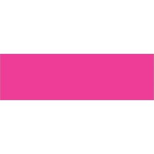 3 x 10" Fluorescent Pink Inventory Rectangle Labels 250/Roll Genuine Sale Online