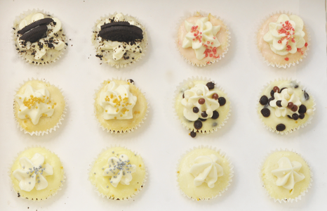 Box 12 mini cheesecakes Pay With Visa Sale Online