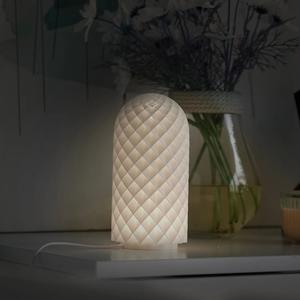 Bambu Lab - LED Lamp Kit Buy Cheap Fake