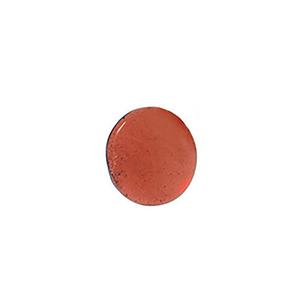 Northstar Cinnamon (Seconds) Free Shipping 2025
