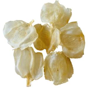 Premium Mexico Dried Fish Maw Extra Large Size 5-7 Pieces (8oz - 1lb) Best Wholesale Sale Online