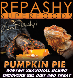 Pumpkin Pie Omnivore Clearance Reliable