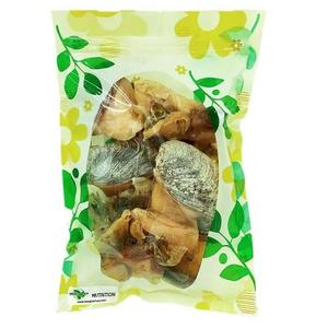Extra Large Fresh Dried Whelk Conch Slices (1LB) Discount Wholesale