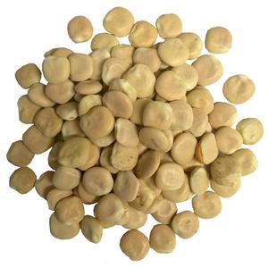 Lupini Beans - 13-15 mm, 16 oz - Deli Pack Bag Discount Footlocker Pictures