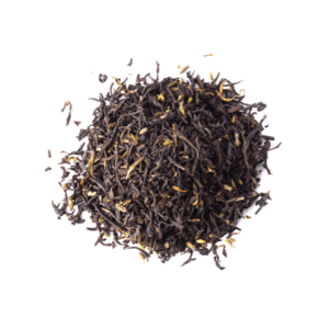 Earl Grey Lavender Outlet Visit