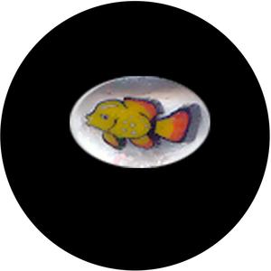 Salmon Milli Free Shipping Perfect