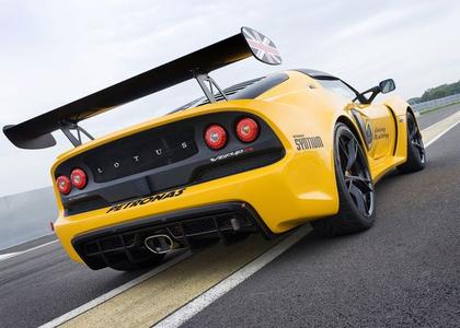 Lotus zuti Sale Clearance