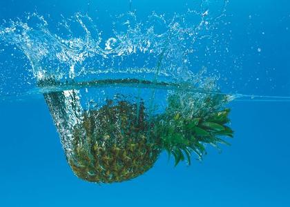 Ananas u moru Free Shipping Good Selling