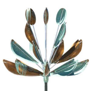Agave Buy Cheap Buy