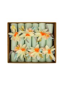 Floral Crackers Outlet Low Pice Fee Shipping