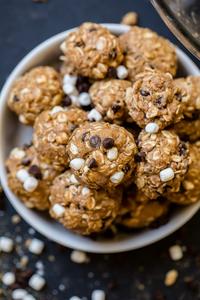 Smores Protein Balls - (12) pack Free Shipping Sast