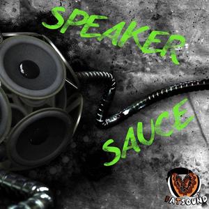 Speaker Sauce Clearance Choice