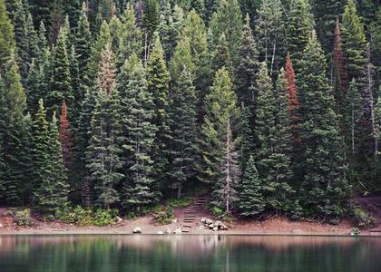 Bor jezero Clearance Purchase